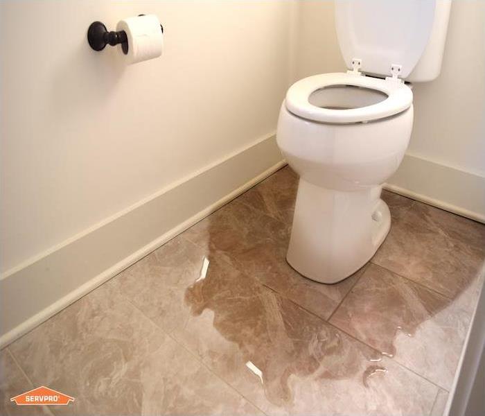 Toilet leaks in Pensacola, FL